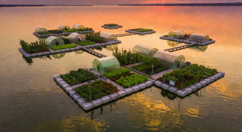 Aerial view of floating farm platforms at sunset with warm golden light reflecting on the water
