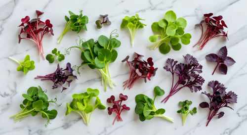 Various microgreen varieties arranged on white marble surface showing different colors and leaf shapes
